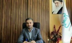 صحت عملکرد ۹۷۳ ترازوی صنفی ایلام تأیید شد