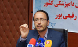 رئیس سازمان دامپزشکی: ۹۷ درصد نیاز دارویی دام کشور تولید داخلی است