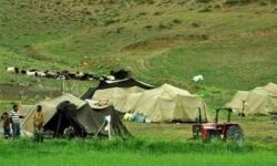هشدار مدیرکل امور عشایر ایلام درباره پیامدهای کمبود سوخت در مناطق مرزی