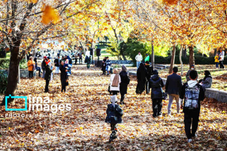 چگونه در پاییز انرژی و شادابی خود را حفظ کنیم