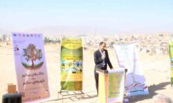 ایلام پیشگام راه‌اندازی نخستین کاروان ترویج بهره‌وری و آموزش منابع طبیعی