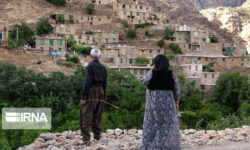 ۱۴۱ روستای کردستان در دولت چهاردهم به شبکه ملی اطلاعات متصل شد