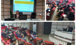 برگزاری دوره آموزشی استانداردسازی مصالح ساختمانی و فناوری‌های نوین توسط استاندارد ایلام