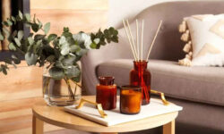 هوای خانه را تازه کنید