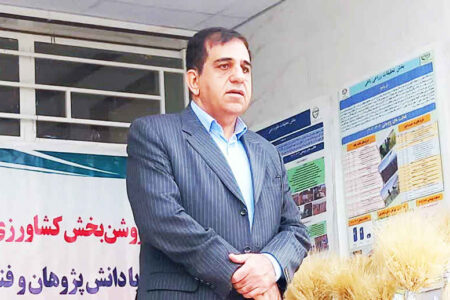 اصلاح الگوی کشت ایلام با تکیه بر پژوهش‌های کاربردی دنبال می‌شود