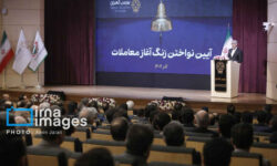 مدنی زاده خبر داد: برنامه ۱۷ بندی دولت برای ساماندهی اقتصاد