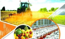 همکاری مرکز تحقیقات کشاورزی ایلام با پژوهشگاه علوم هستهای گسترش مییابد