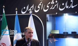 اسلامی: سازمان انرژی اتمی ایران در استفاده از شیوه‌های نوین درمان پیشتاز است