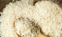 ۲۳ هزار تن برنج وارداتی در بندر بوشهر تخلیه شد
