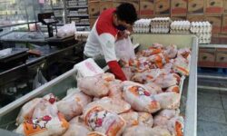 گوشت مرغ استان تهران تامین است/ برخورد جدی با گران‌فروشان