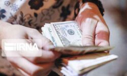 تحقق ثبات اقتصادی در بازه زمانی ۶ تا ۹ ماهه /التهابات ارزی قابل مدیریت است