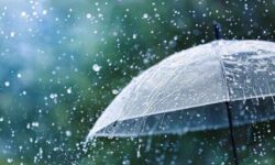 افزایش ۷۳ درصدی بارندگی در ایلام