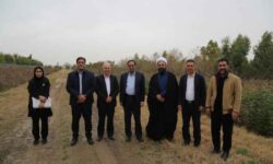 جنگلکاری اقتصادی رویکرد مهم سازمان منابع طبیعی و آبخیزداری است