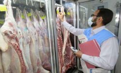نظارت بهداشتی دامپزشکی ایلام برای نوروز و رمضان تشدید شد