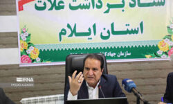 تاکید استاندار ایلام بر همکاری دستگاه‌های اجرایی در برداشت غلات