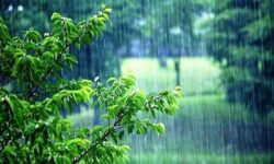 نوسان بارش‌ها در ایلام/ از پاییز خشک تا بهار امیدبخش