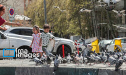 قاب زندگی/ تهران قلب تپنده ایران پس از آتش بس
