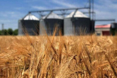 پیش‌بینی تحویل ۱۹۰ هزار تن گندم به سیلوهای دهلران