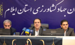 تاکید استاندار ایلام؛ متخلفان چرخه تولید و توزیع مرغ نقرهداغ میشوند
