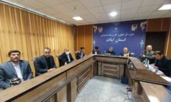 برگزاری جلسه کارگروه اشتغال استان ایلام با محوریت بررسی روند پرداخت تسهیلات تبصره ۱۵