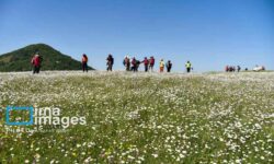 اردیبهشت، بهترین زمان برای سفر به مناطق زیبای ایران