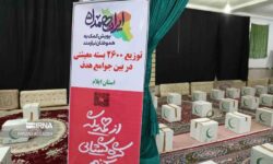 پویش ایران همدل؛ ۲۶۰۰ بسته معیشتی در ایلام توزیع شد