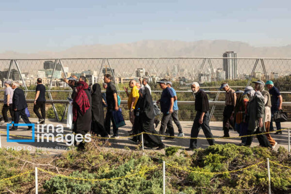 پیادهروی خانوادگی؛ درمانی طبیعی برای اضطراب و خستگی
