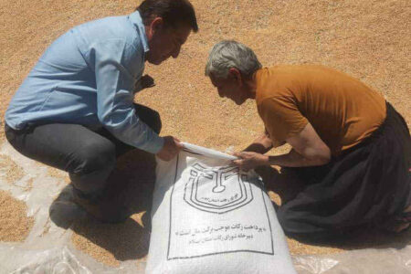 جمع آوری ۲۵ میلیارد تومان وجوهات زکات در ایلام؛ اجرای ۶۵ طرح اشتغال‌زایی و ۵ هزار خدمت امدادی