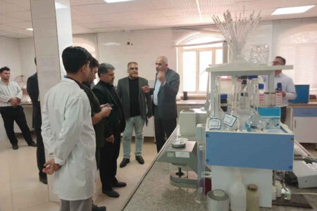 بازدیدبازرس کل قضایی استان ایلام از زیرساخت های خرید وذخیره گندم در استان