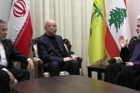قدردانی دبیر کل جنبش حزب‌الله از ایران