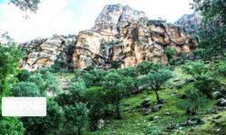 دره شیرز؛ جواهری پنهان در دل زاگرس