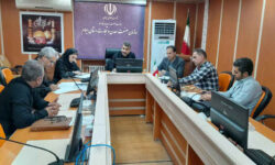 ارتقای ایمنی آسانسورها در ایلام؛ کارگروه نظارت بر واحدهای آسانسوری تشکیل جلسه داد