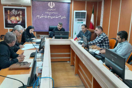 ارتقای ایمنی آسانسورها در ایلام؛ کارگروه نظارت بر واحدهای آسانسوری تشکیل جلسه داد