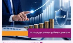عملکرد مطلوب سرمایهگذاری، سود خالص «نوین» را رشد داد