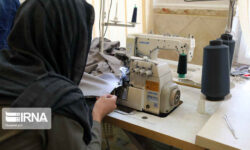 کمیته امداد ایلام ۲۶۰۳ فرصت شغلی برای مددجویان ایجاد کرد