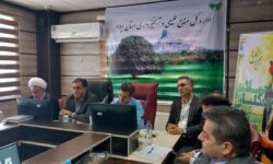 شمار جنگلبانان پاسخگوی حفاظت از پهنههای طبیعی ایلام نیست