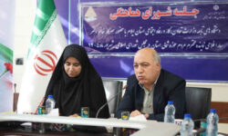 پیشنهاد مدیرکل کار ایلام برای کاهش بیکاری؛ اعزام نیروی ماهر به عراق و پایان دادن به استخدامهای سفارشی